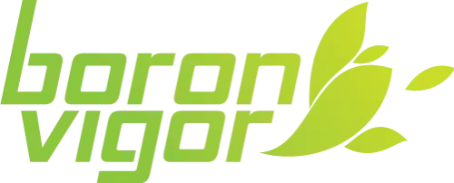 Boron Vigor